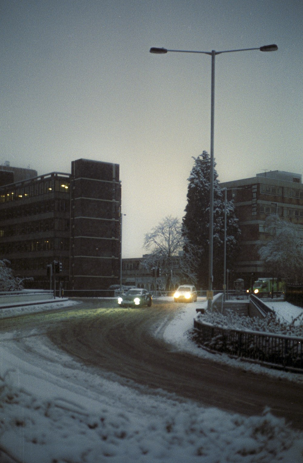 cars on road near trees and building during daytime