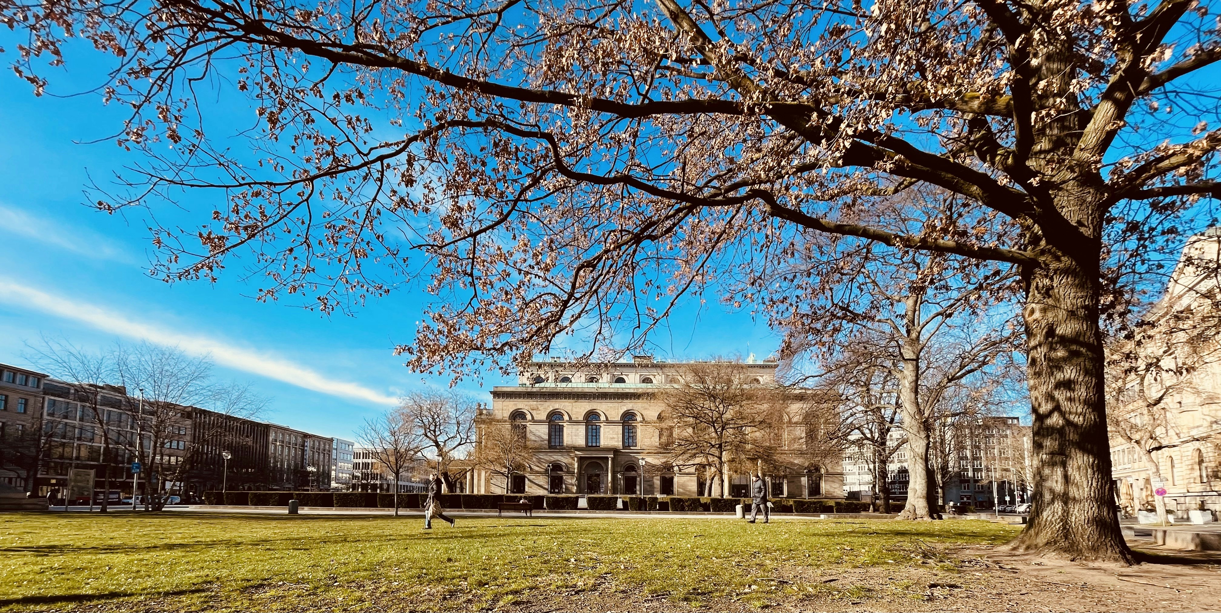 Photo by mu_photography