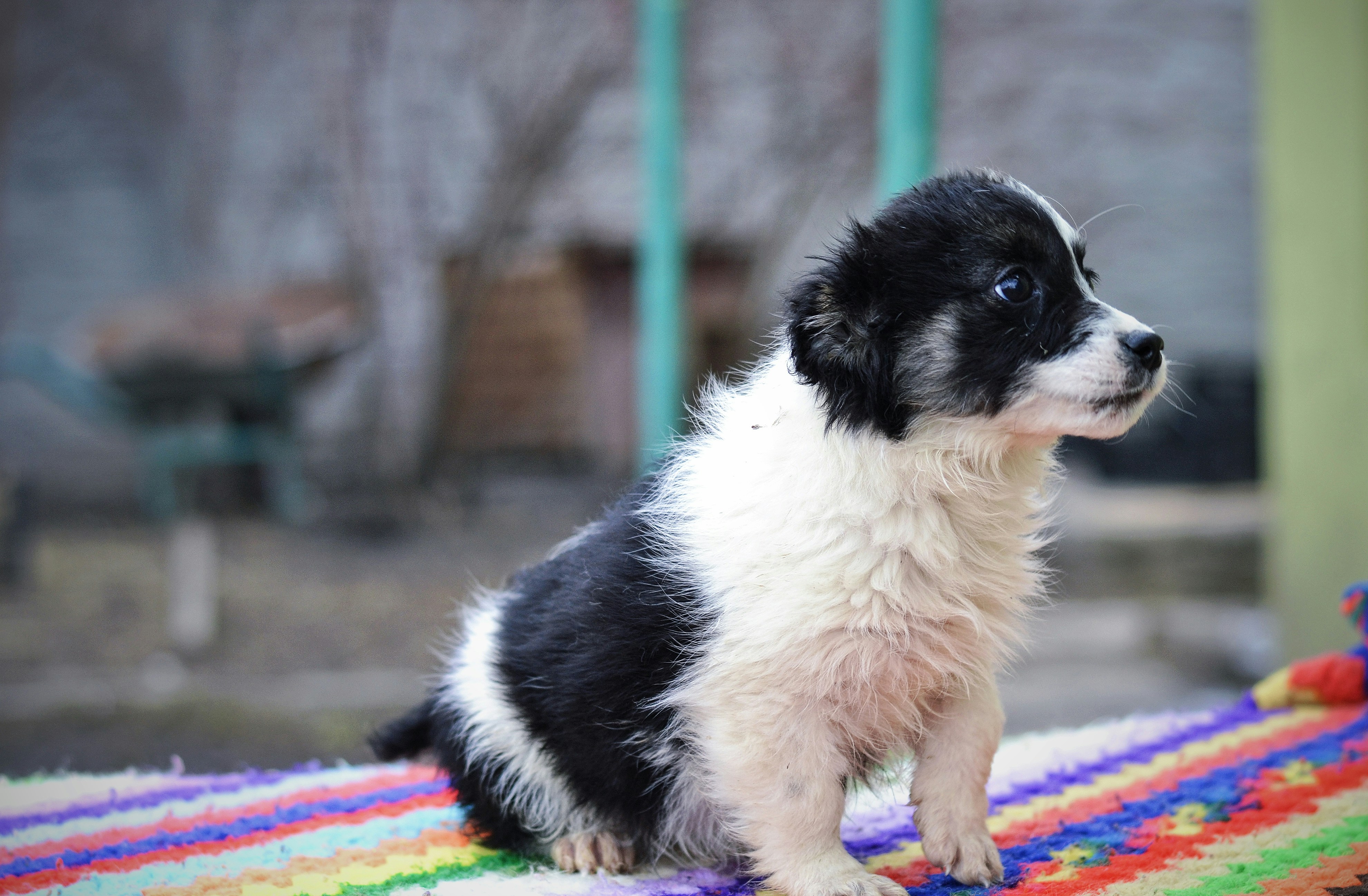 Photo by anastasiiad