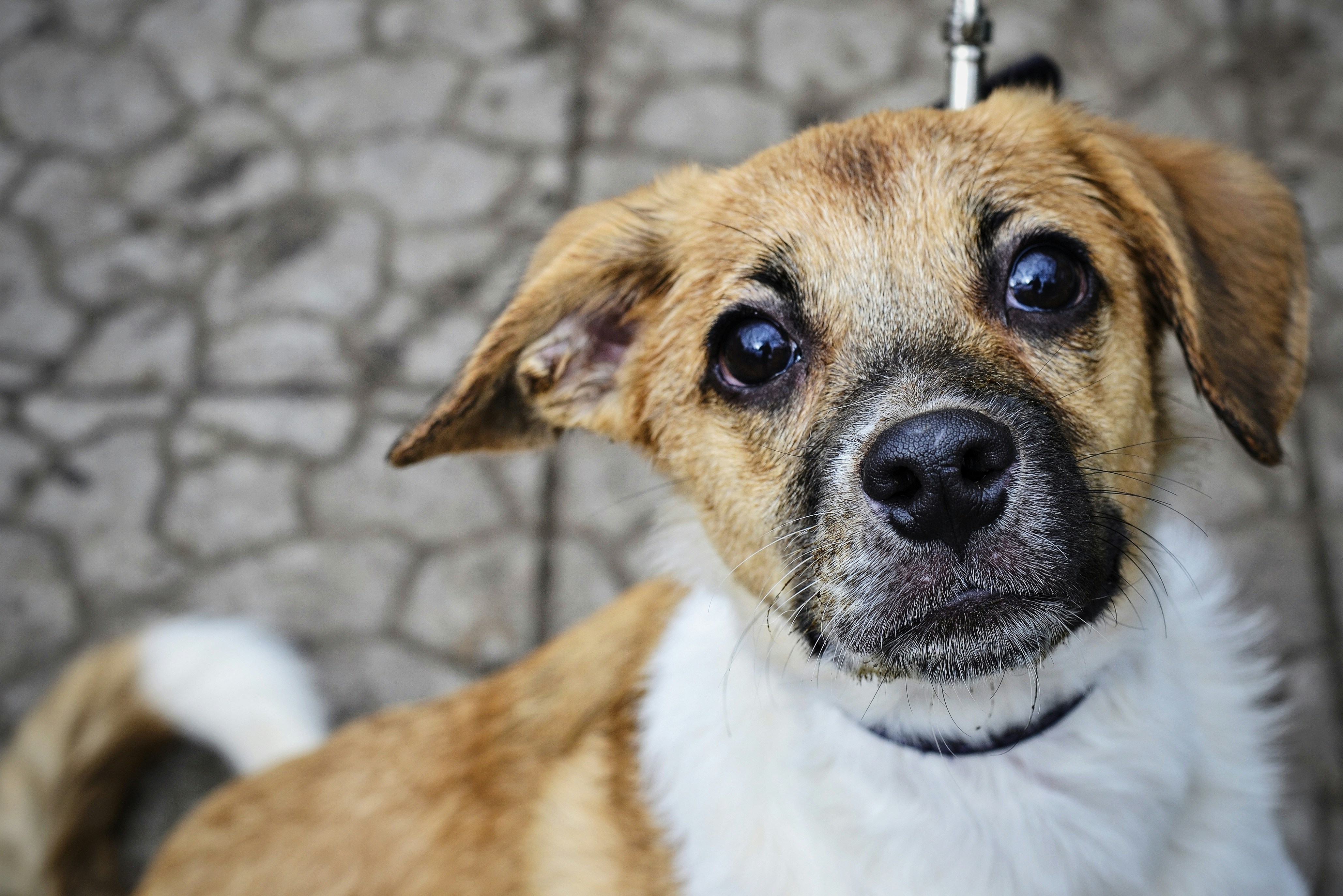 Photo by anastasiiad