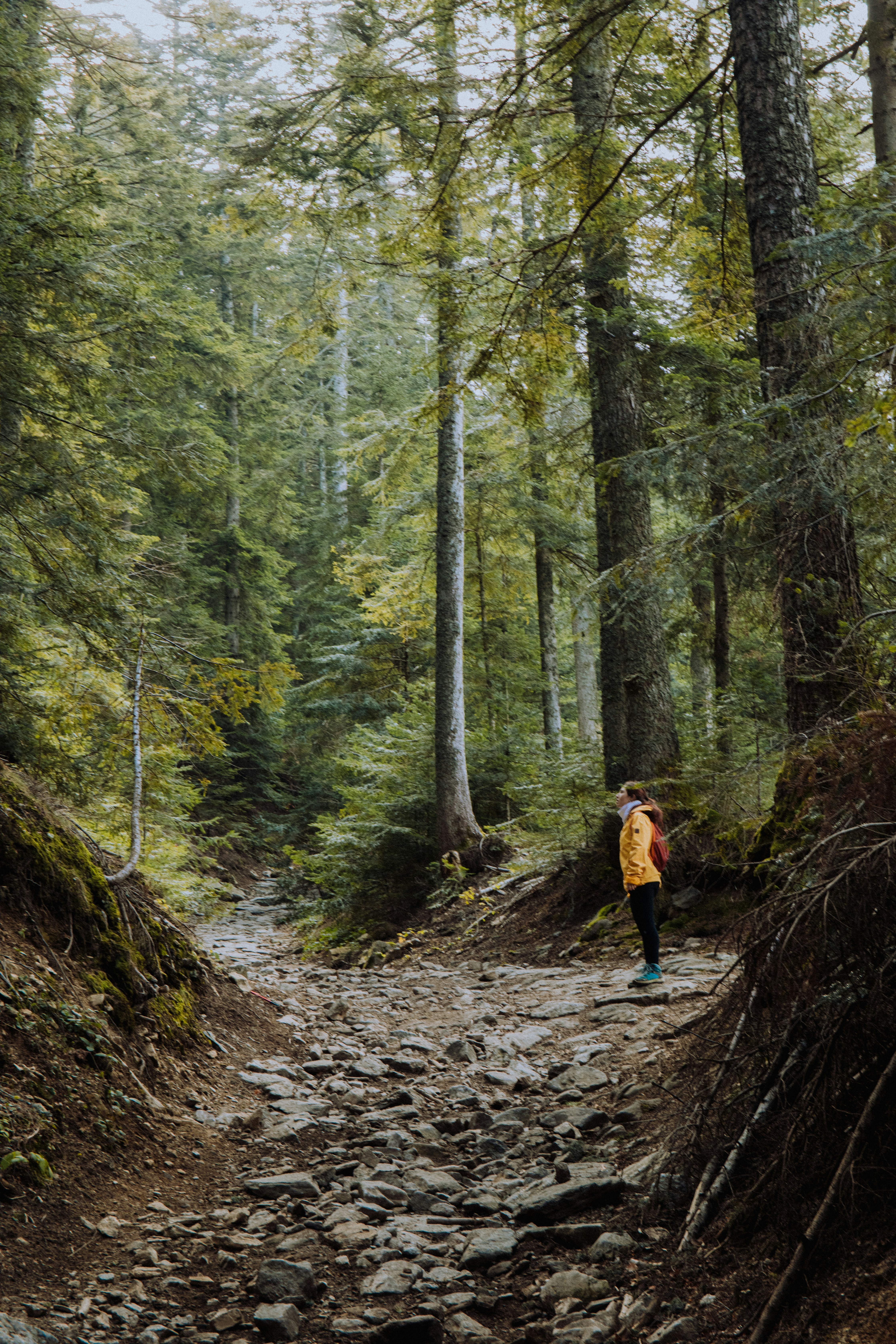 Photo by louisgaudiau