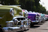A row of polished vintage cars gleaming under the afternoon sun at a local park.