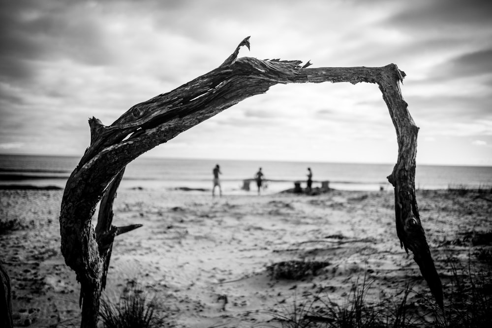 grayscale photo of person standing on beach shore