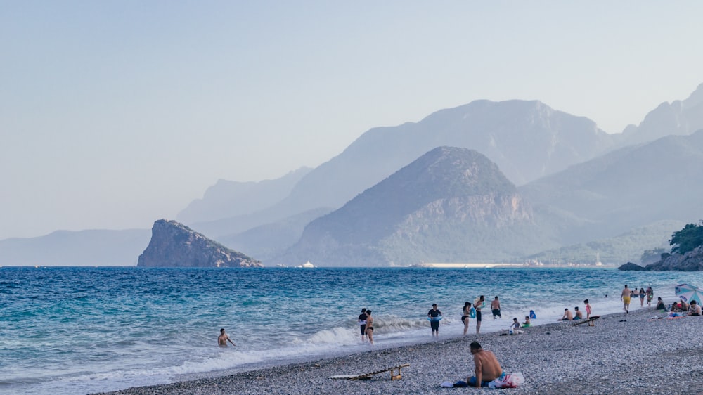 people on beach during daytime