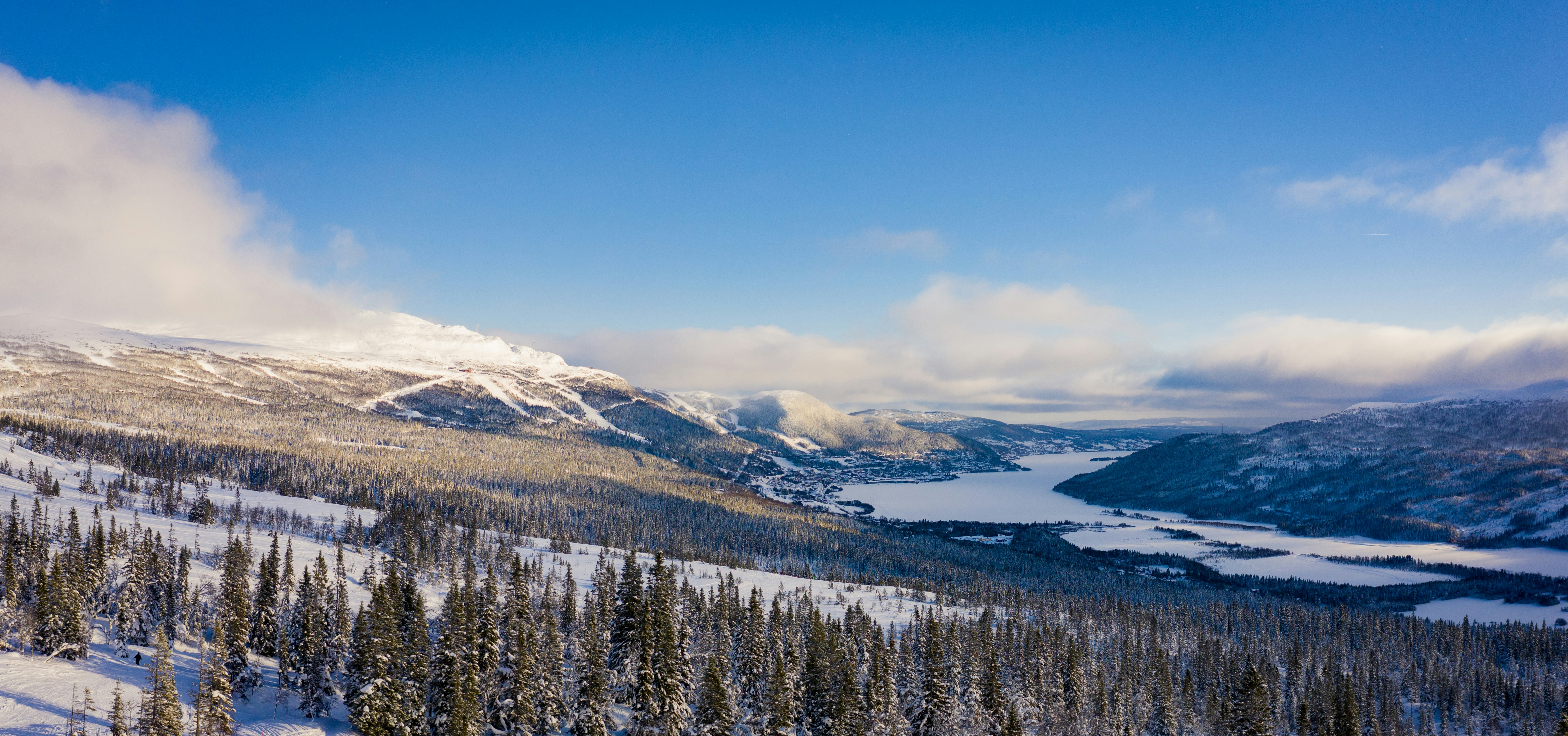 Photo by hendrikpeter