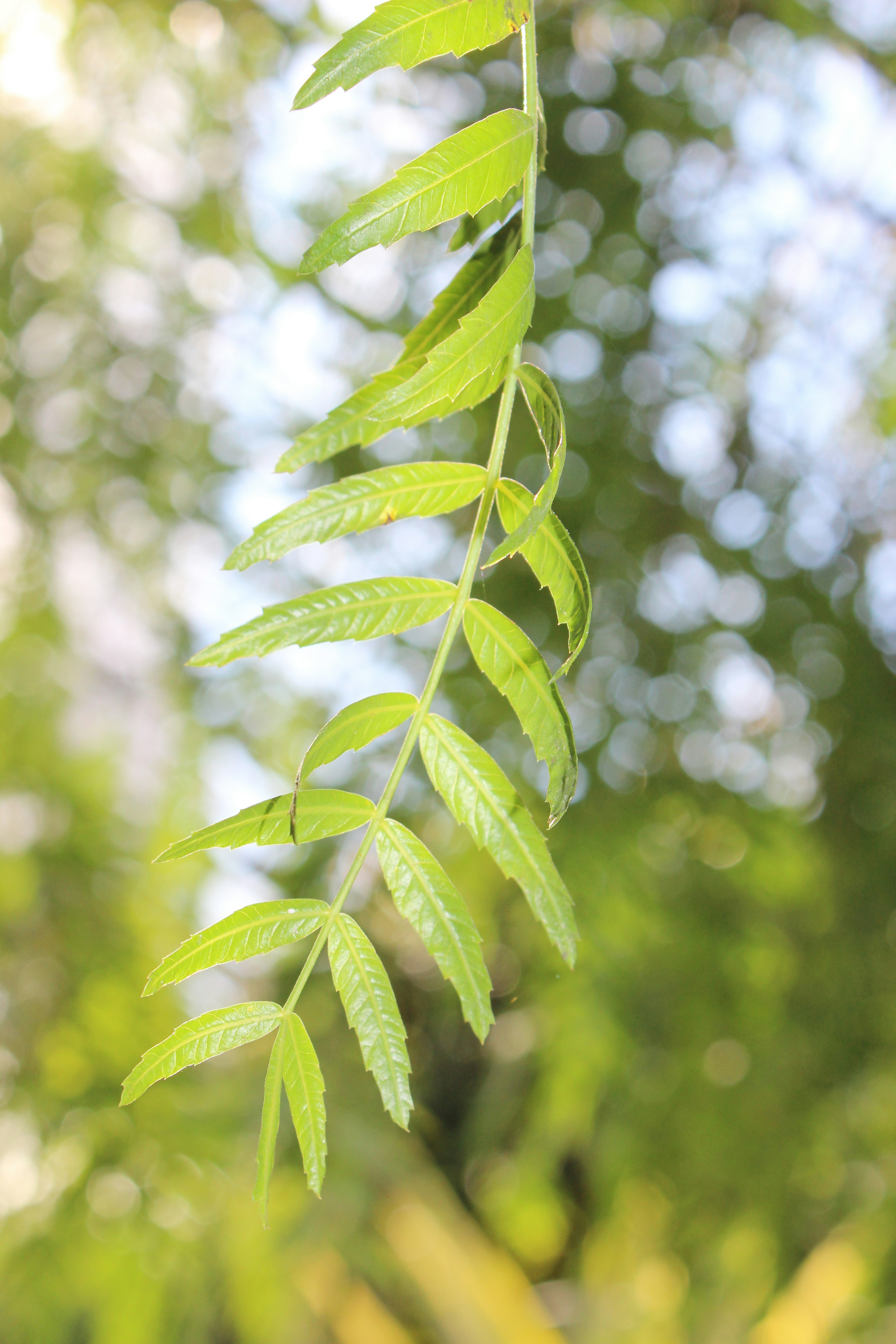 Photo by marianbrandt2000