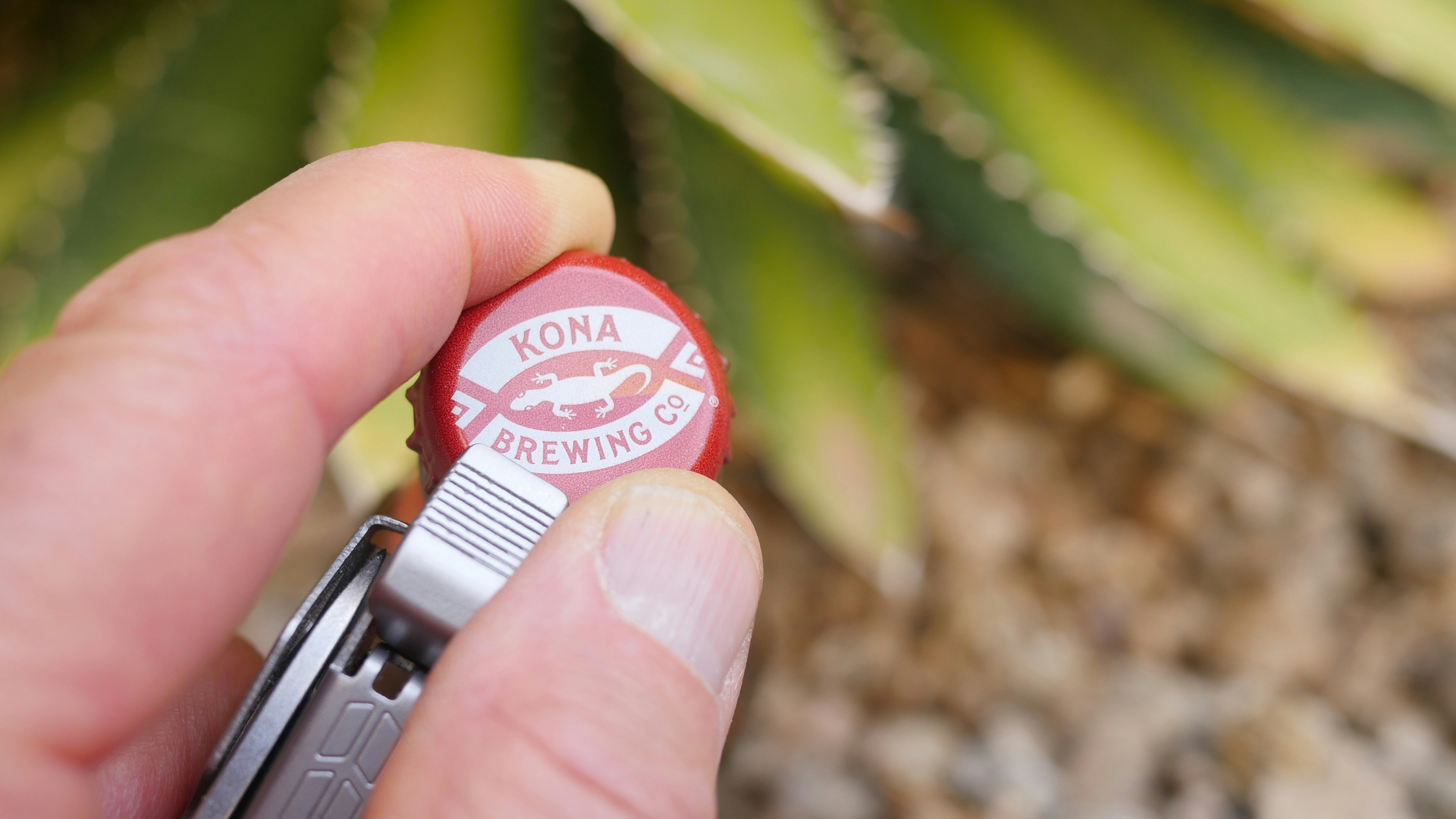 person holding red and white round plastic container