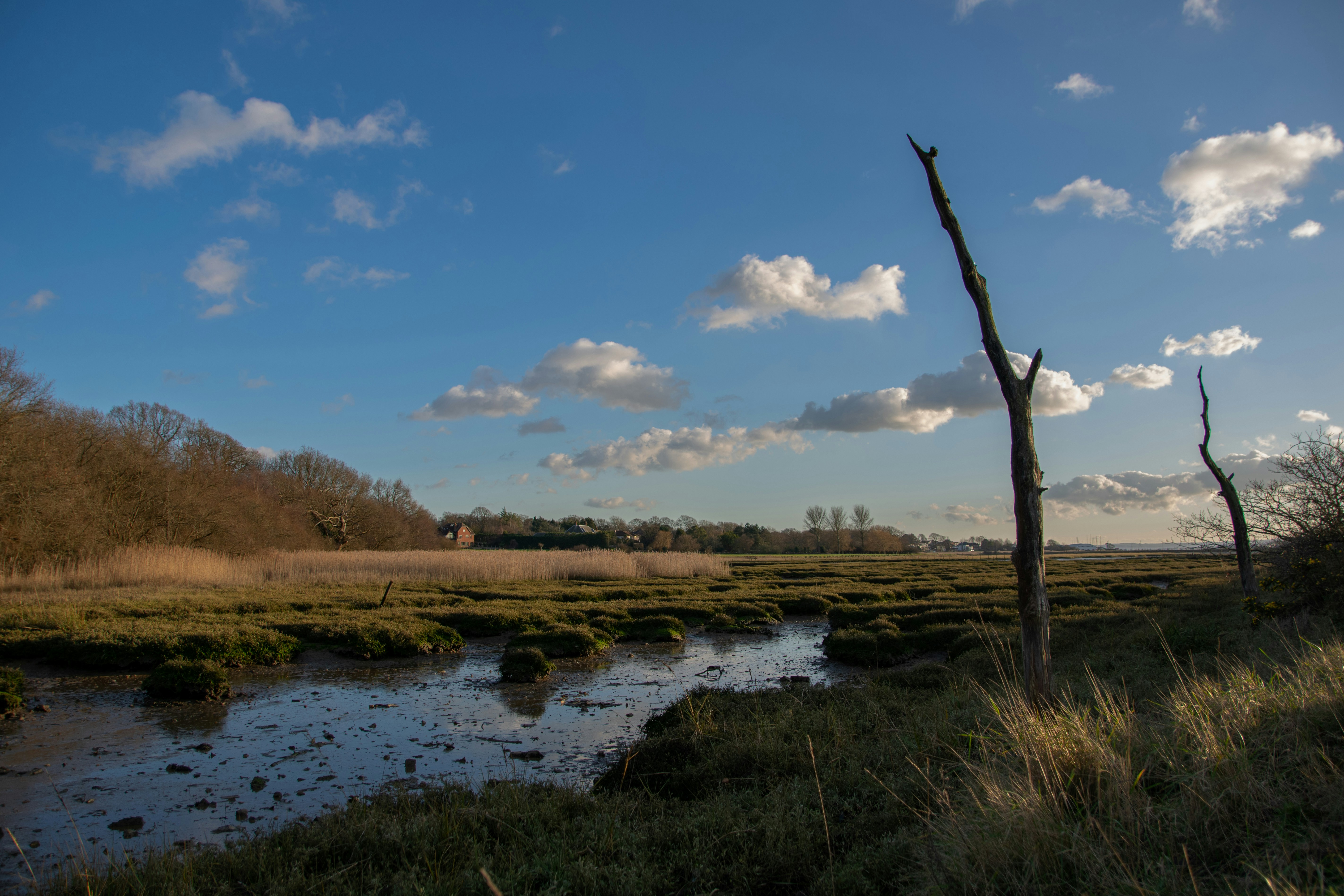 Photo by jessicaburnett