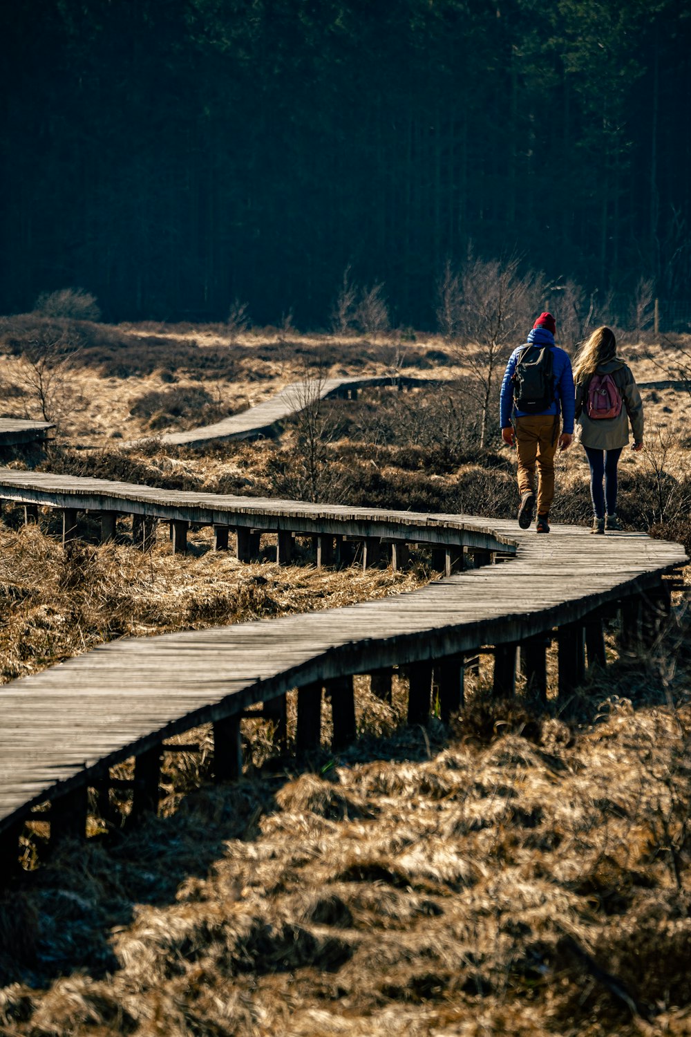 2 men walking on wooden bridge during daytime