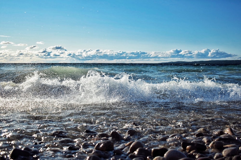 persone sulla spiaggia durante il giorno