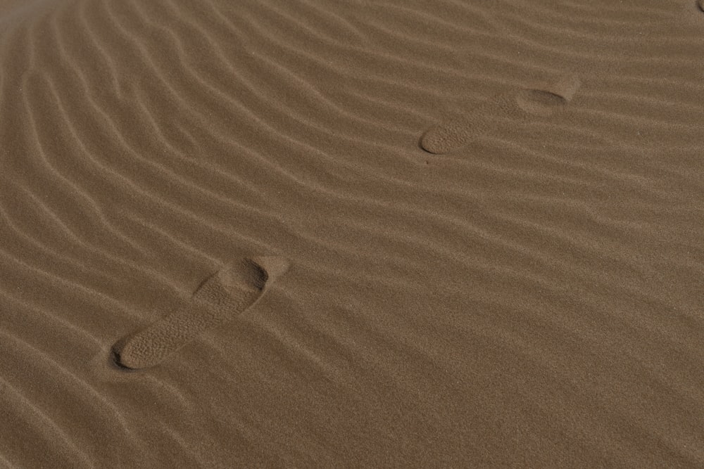昼間、砂の上を歩く人