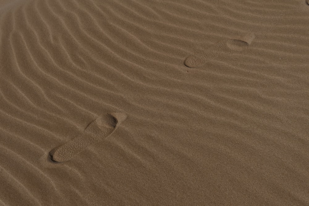 person walking on sand during daytime