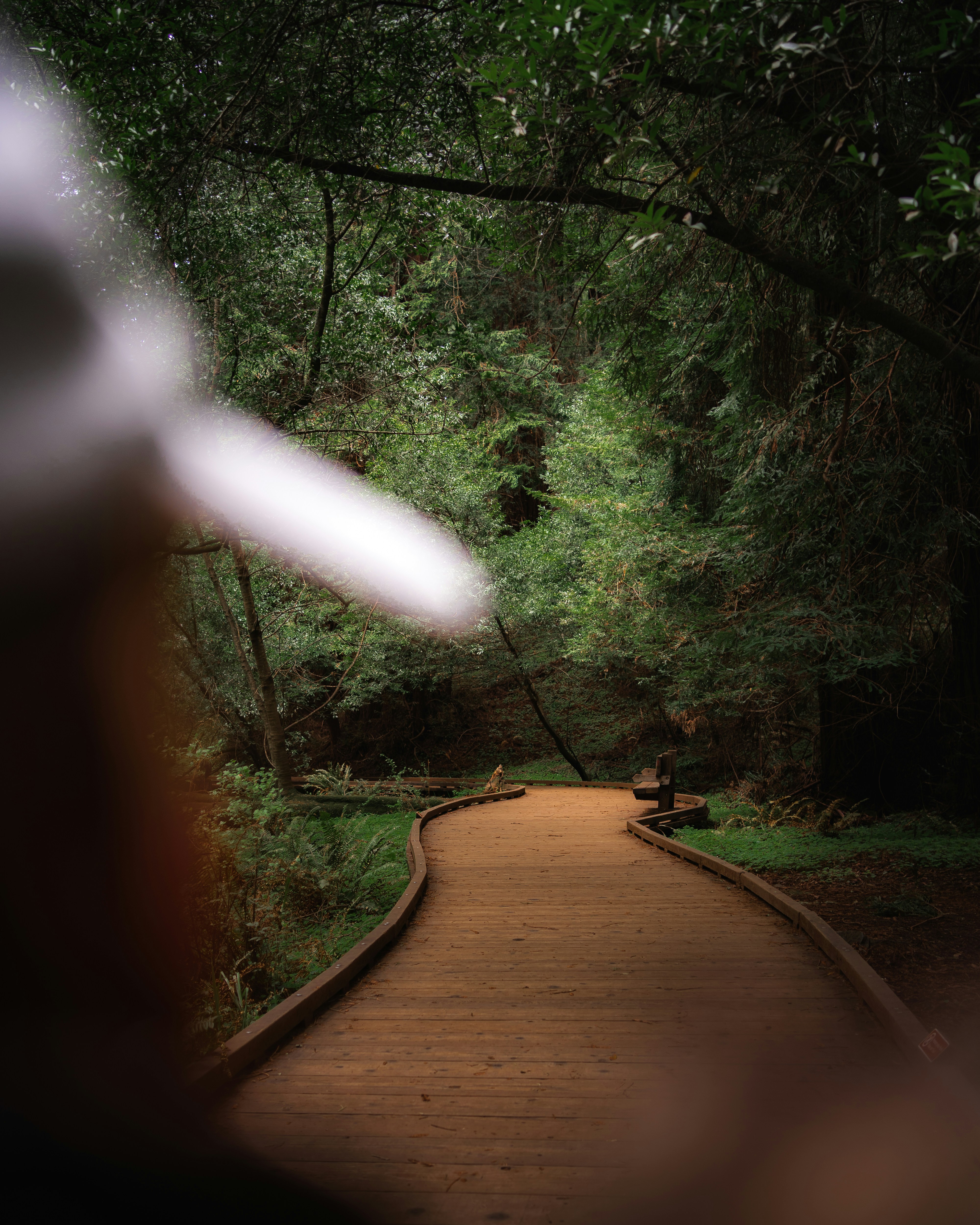 Photo by kalaniparker