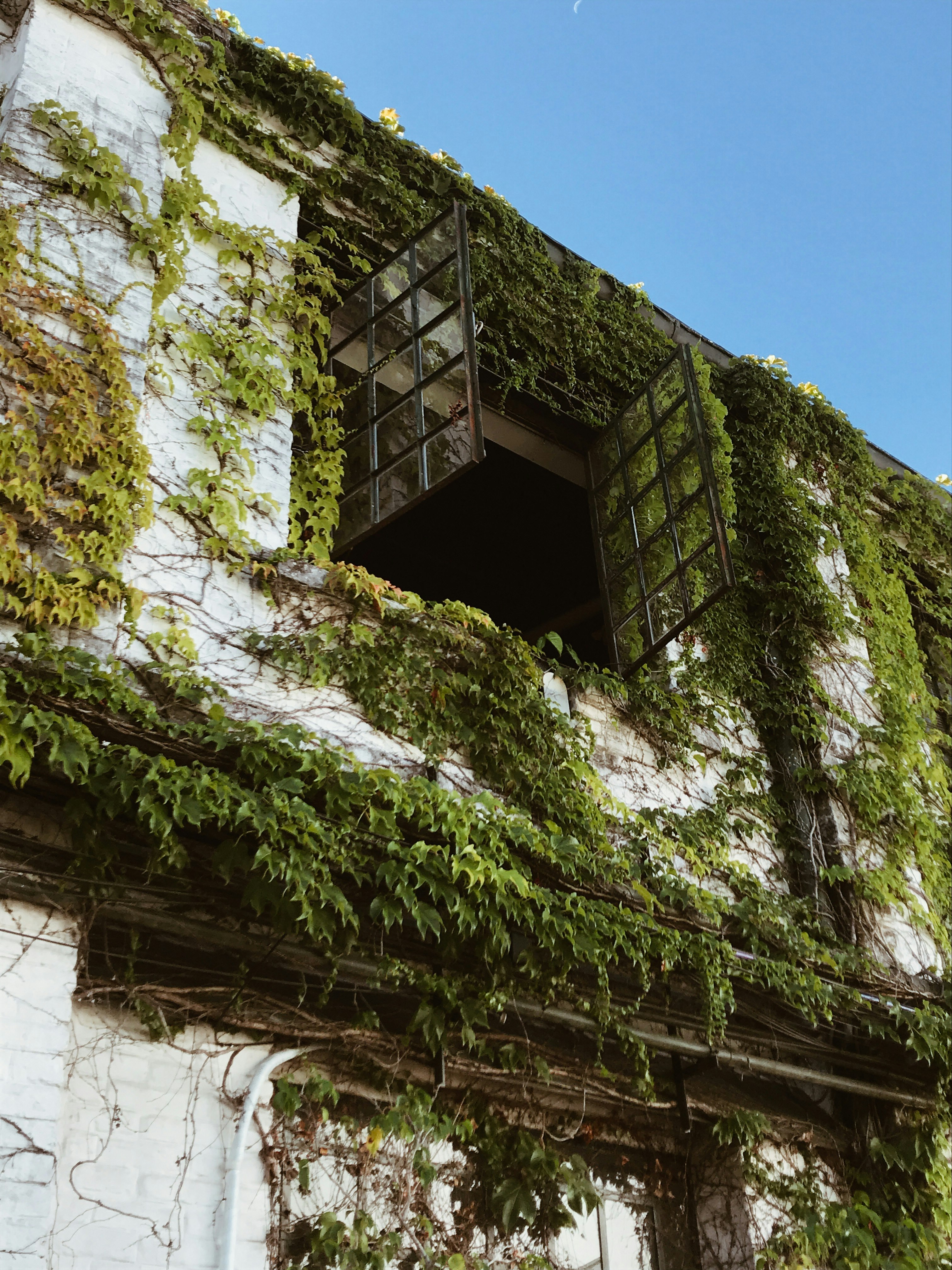 green and white concrete building under blue sky during daytime