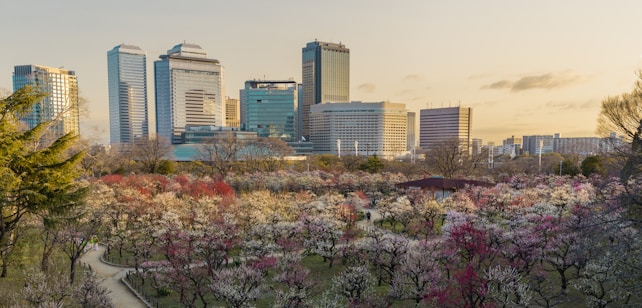 An urban park filled with vibrant and blooming cherry blossom trees, set against a backdrop of modern skyscrapers. The trees display a mix of pink, white, and red flowers, creating a colorful and vibrant foreground. The buildings in the background are tall and modern, contrasting with the natural beauty of the flower garden.