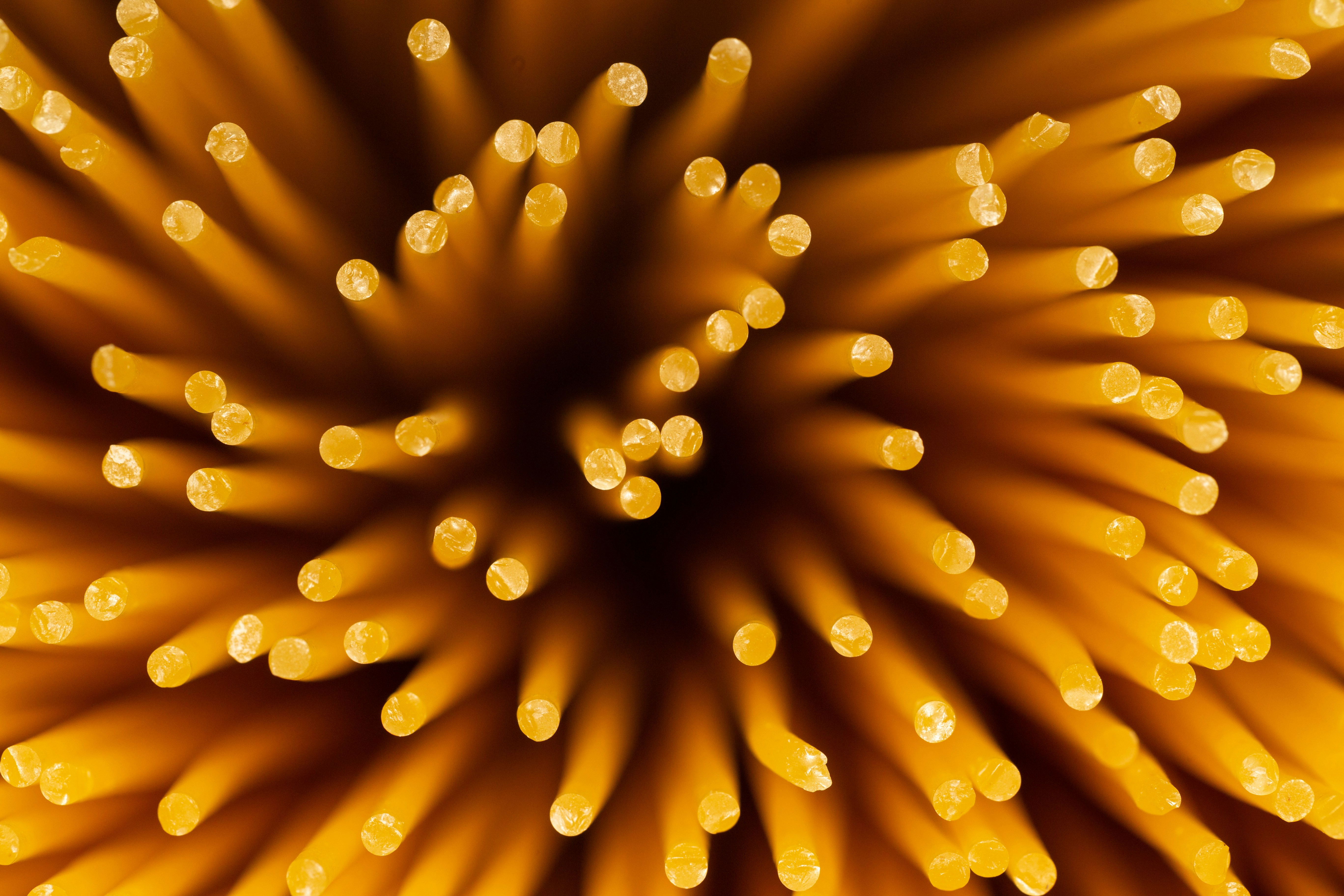 Photo by photosyclist