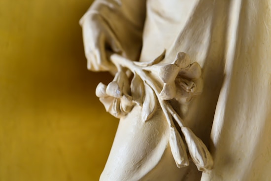 A close-up view of a beige statue's hand holding delicate flower stems, set against a soft yellow background. The details of the flowers and the folds of the statue's garment are finely sculpted, showcasing expert craftsmanship.