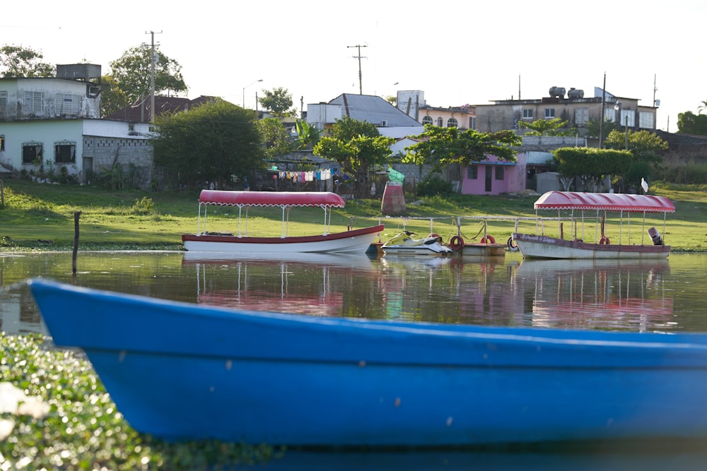 Blaues Boot auf grünem Grasfeld in der Nähe von grünen Bäumen während des Tages