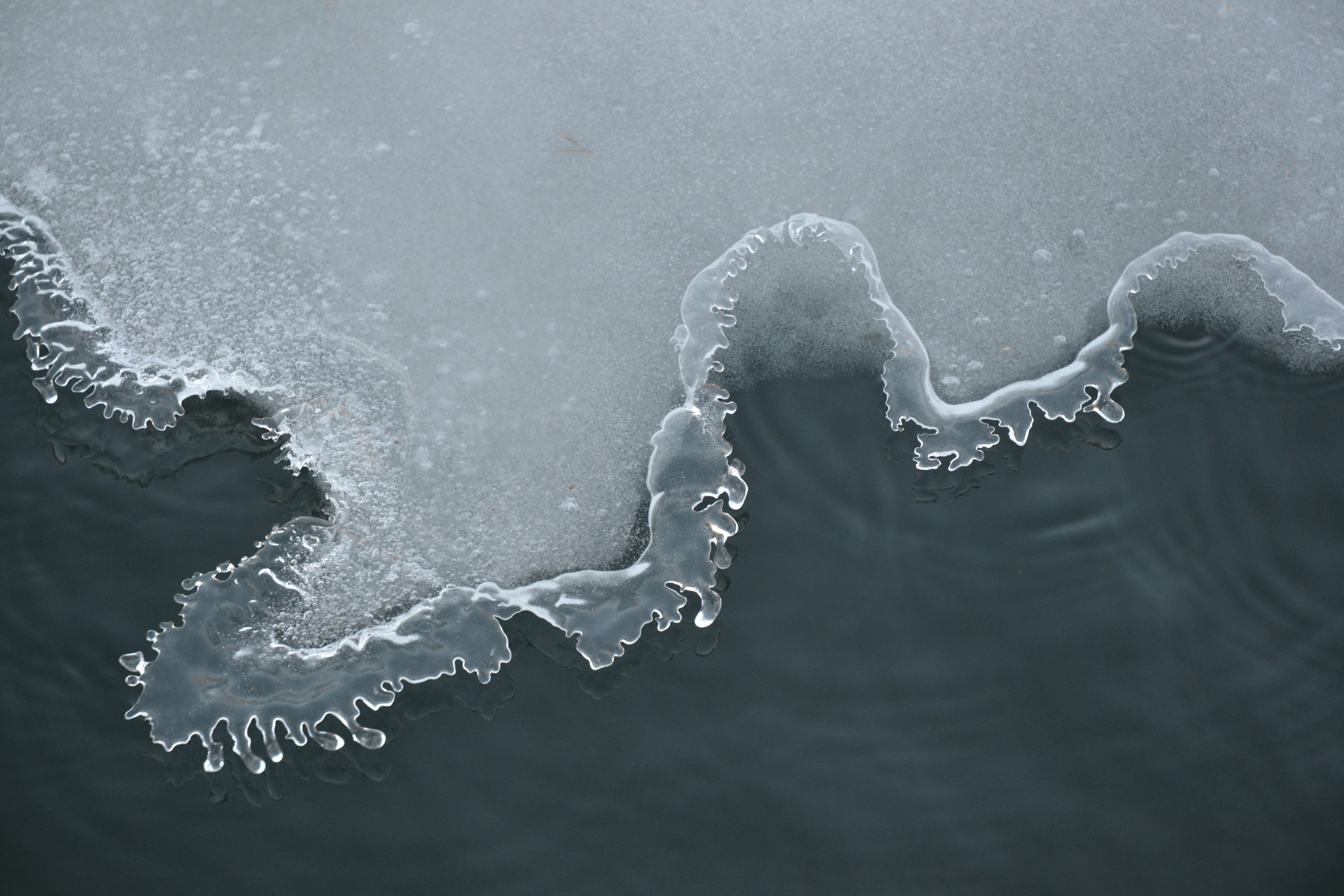 Understanding Phase Transition in LLM Capabilities