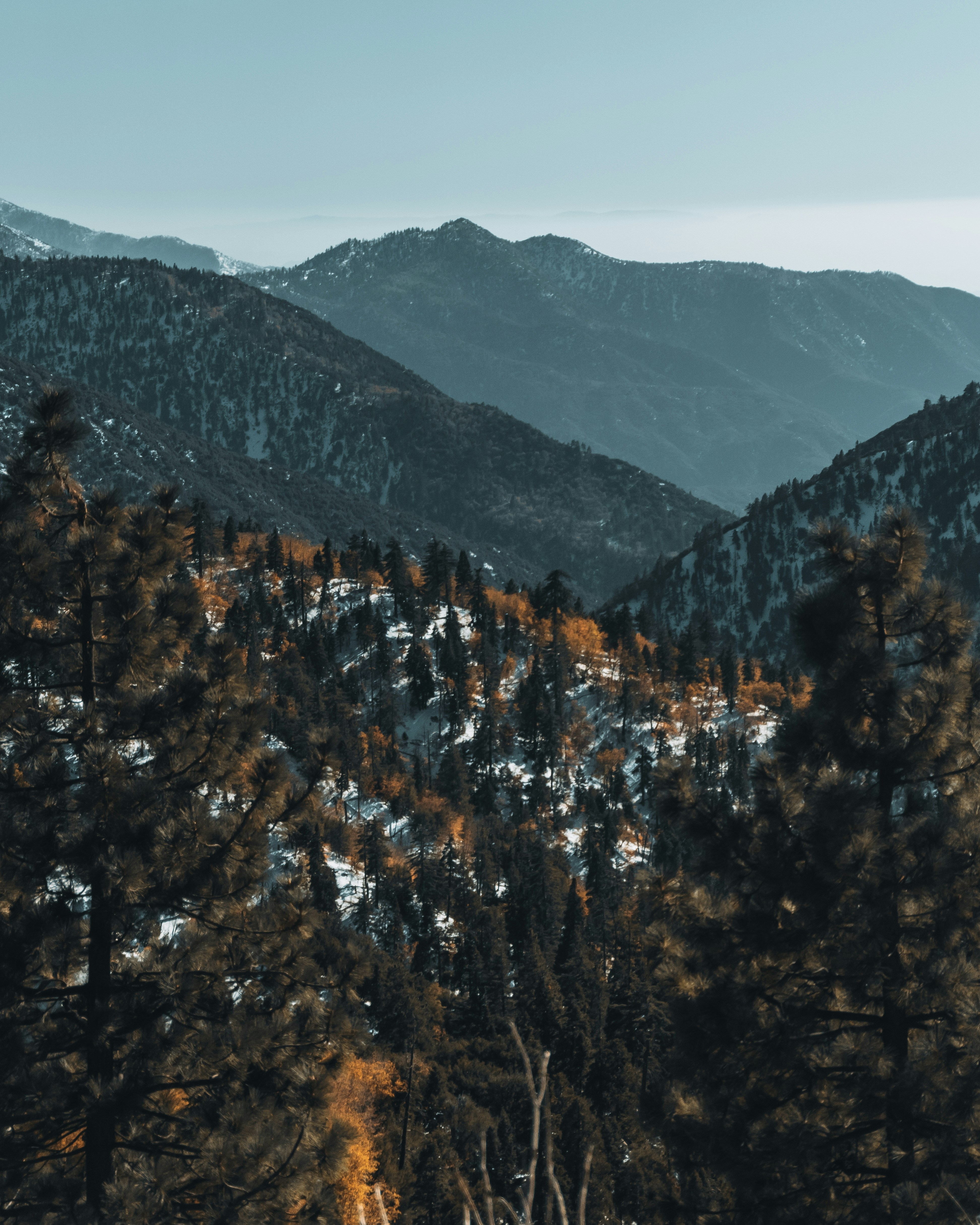 Photo by alenkajtezovic