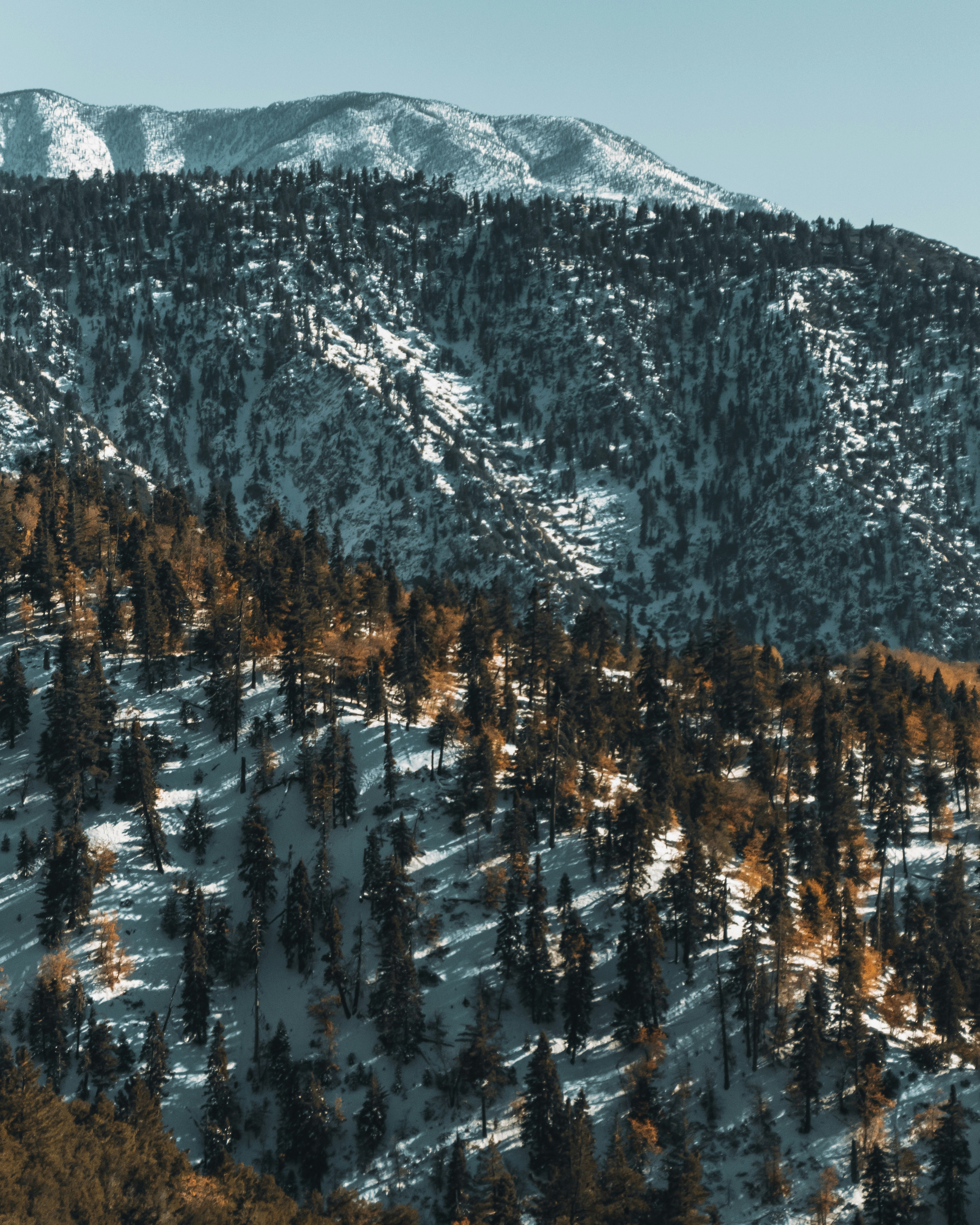 Photo by alenkajtezovic