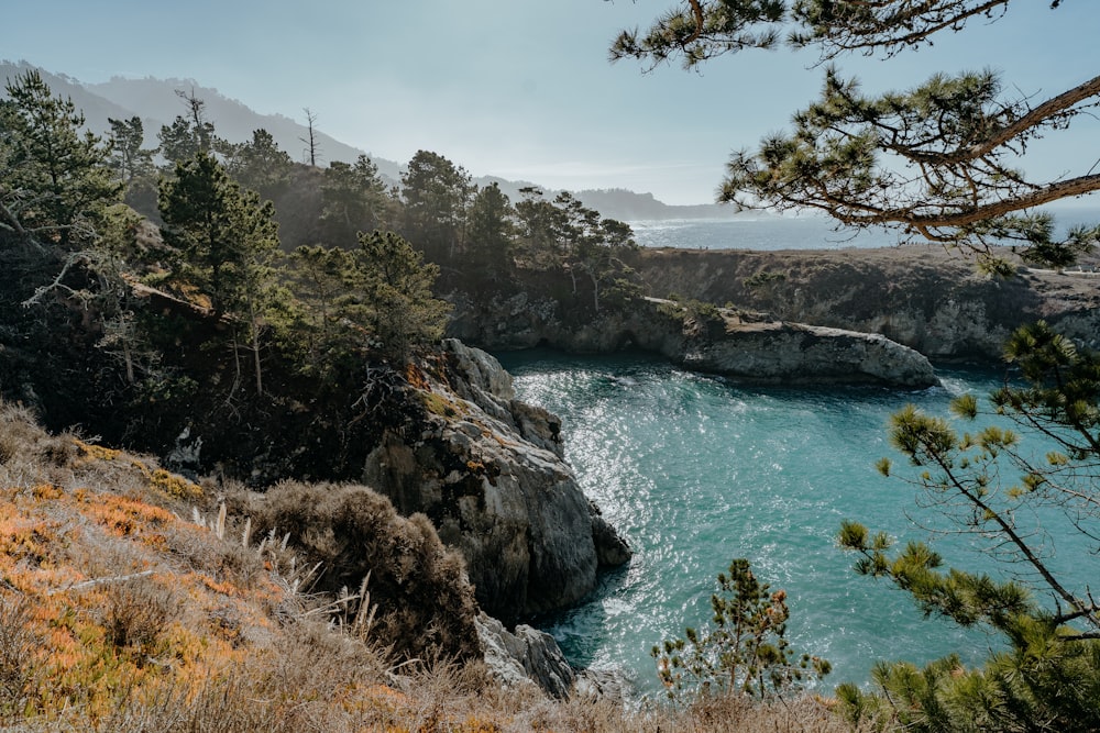 green trees on rocky mountain beside blue sea under white clouds during daytime