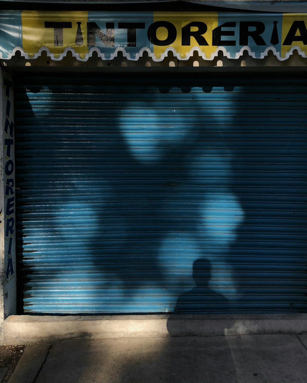 blue and yellow wooden window