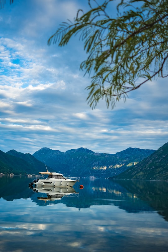 white boat on water near green mountain under white clouds and blue sky during daytime in Dobrota Montenegro