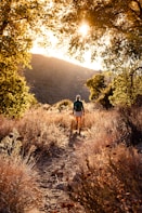 hiker in dark shirt and light shorts walking on dirt path surrounded by vegetation in morning light