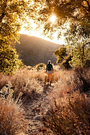 Hiker in a cap, shorts and small pack walking a dry, rocky trail through golden grass toward a hill, low sun flaring through the trees