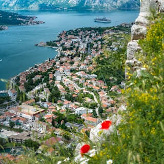 aerial view of city near body of water during daytime