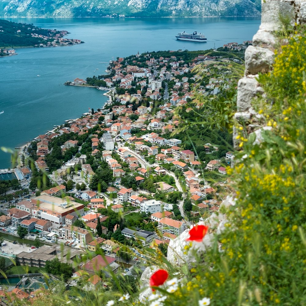 Veduta aerea della città vicino allo specchio d'acqua durante il giorno