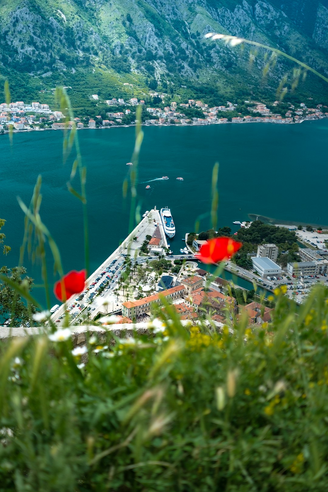 Watercourse photo spot Kotor Perast