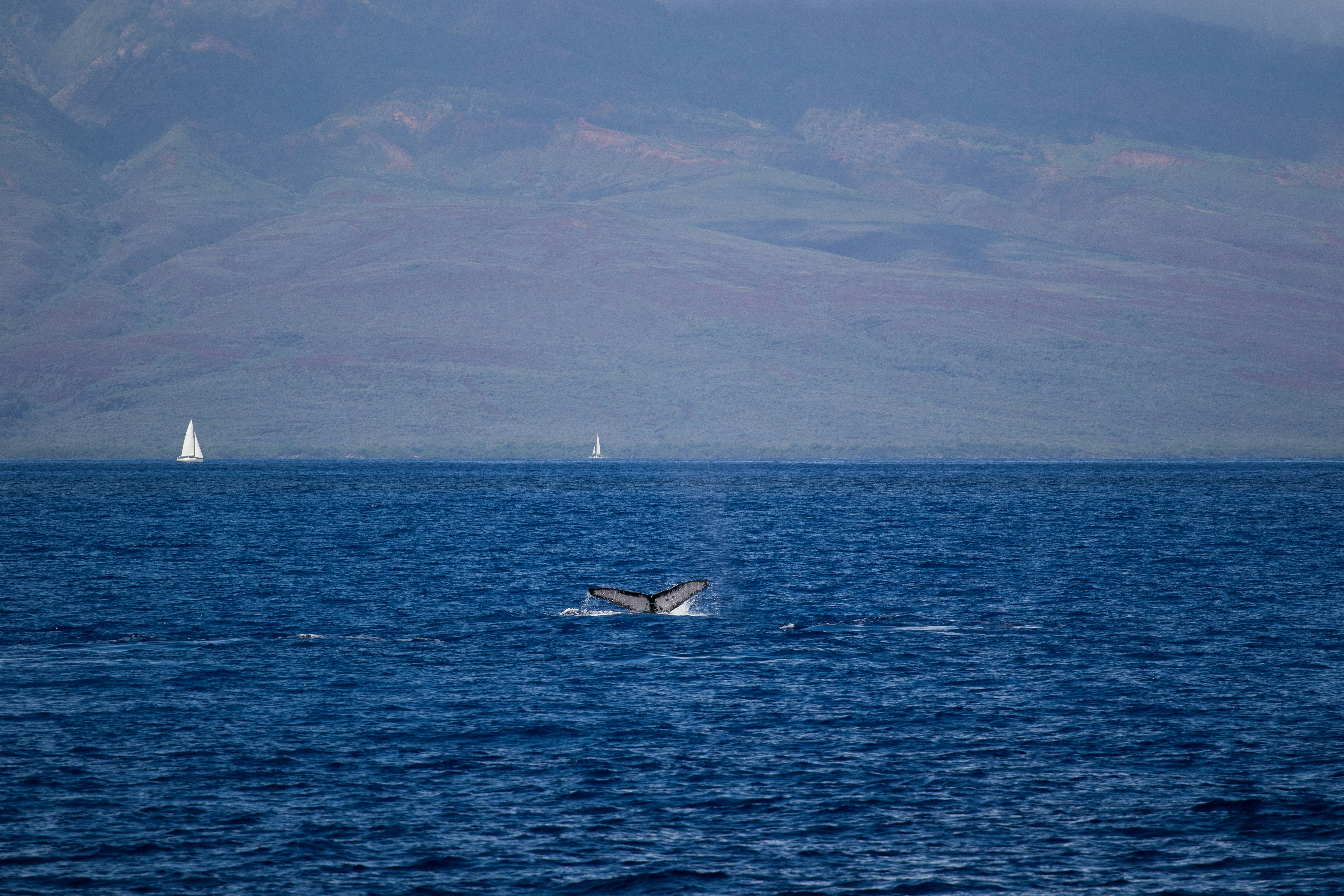 Photo by colt10jordan