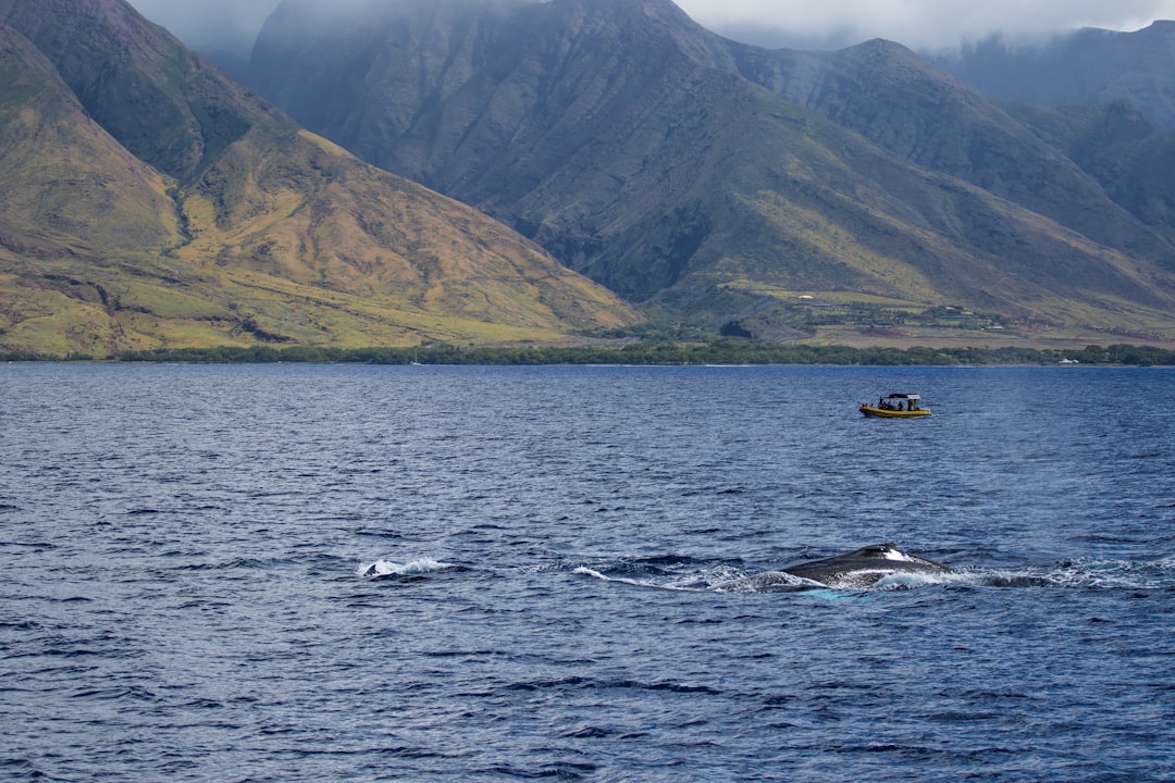 person surfing on sea near mountain during daytime