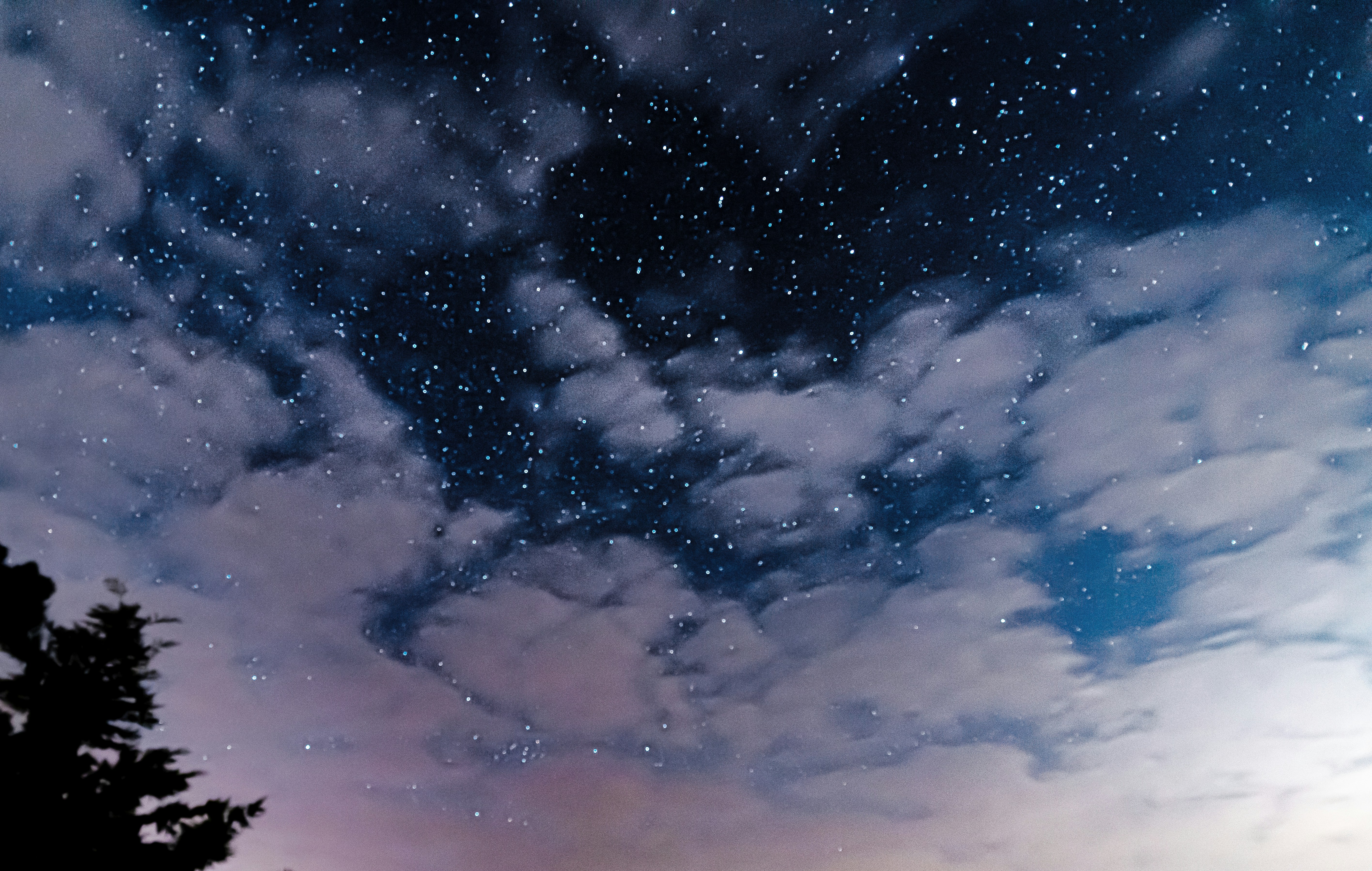 Photo by arizonanthony