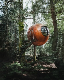 brown and black round ornament on brown tree branch