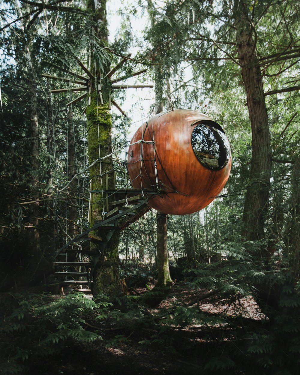 750+ Tree House Pictures | Download Free Images on Unsplash