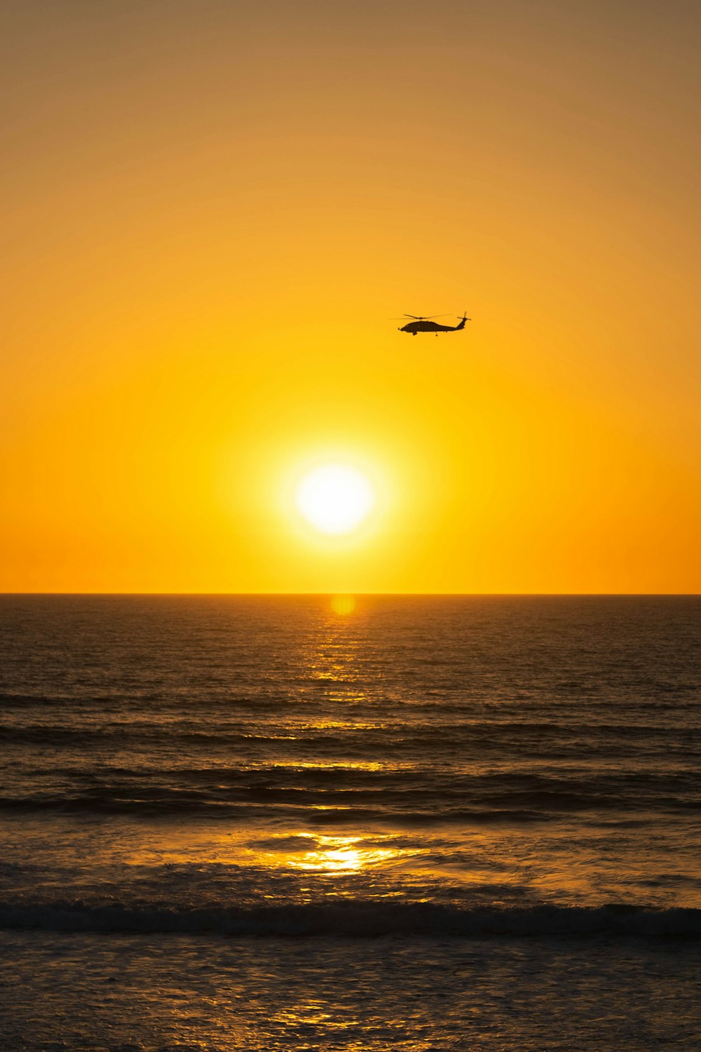 silhouette of bird flying over the sea during sunset