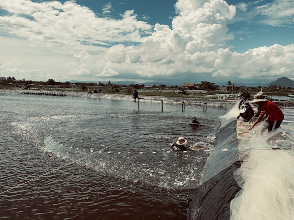 Several people are working on a fish farm, casting nets into a large water body. The scene is set against a backdrop of distant mountains and cloudy skies, indicating a rural, natural environment.