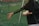 A person dressed in dark sportswear holds multiple baseballs in one hand while reaching out with the other hand. The background consists of a green mesh net and grassy area, suggesting a sports field or training area.
