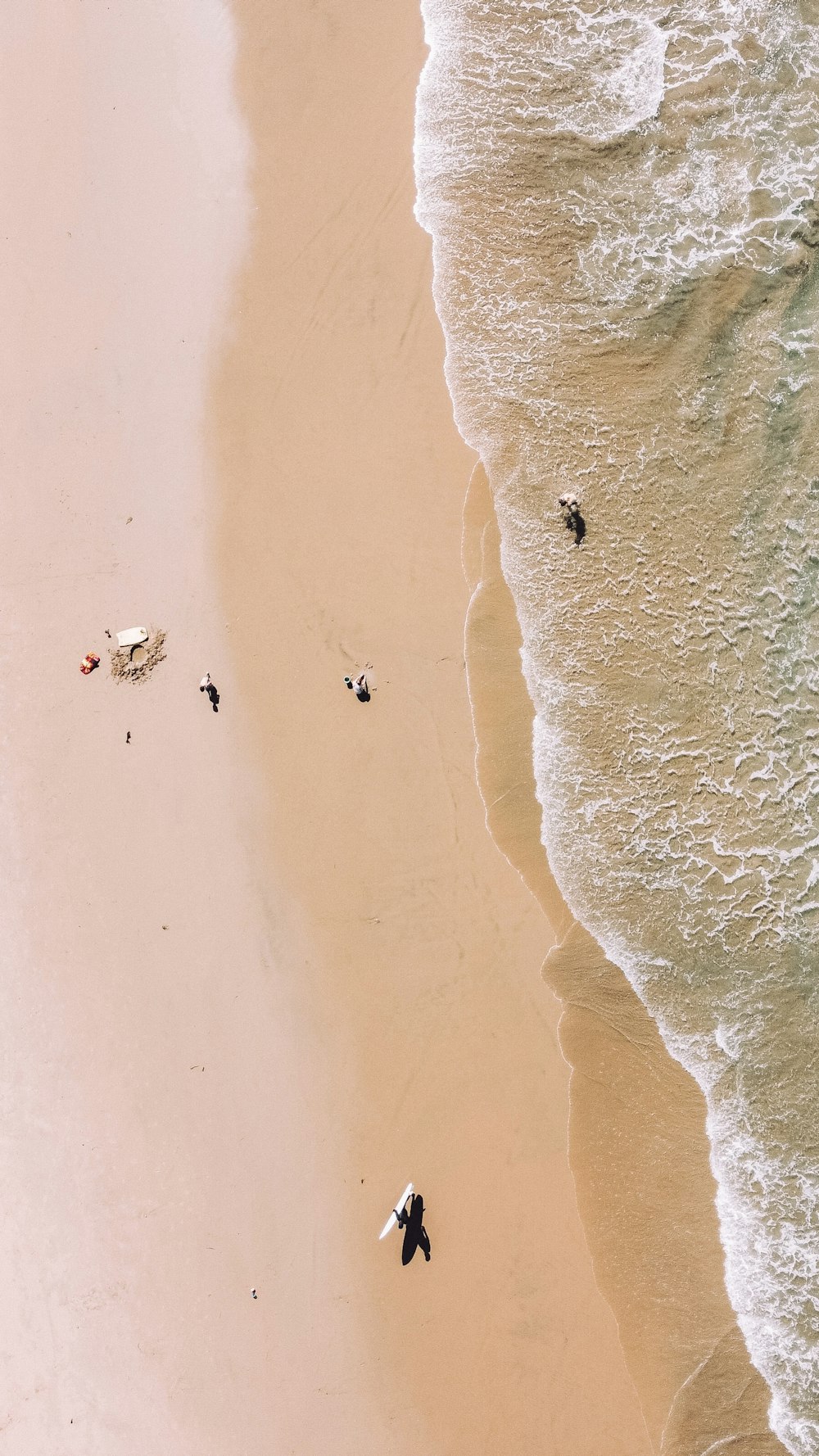 people on beach during daytime