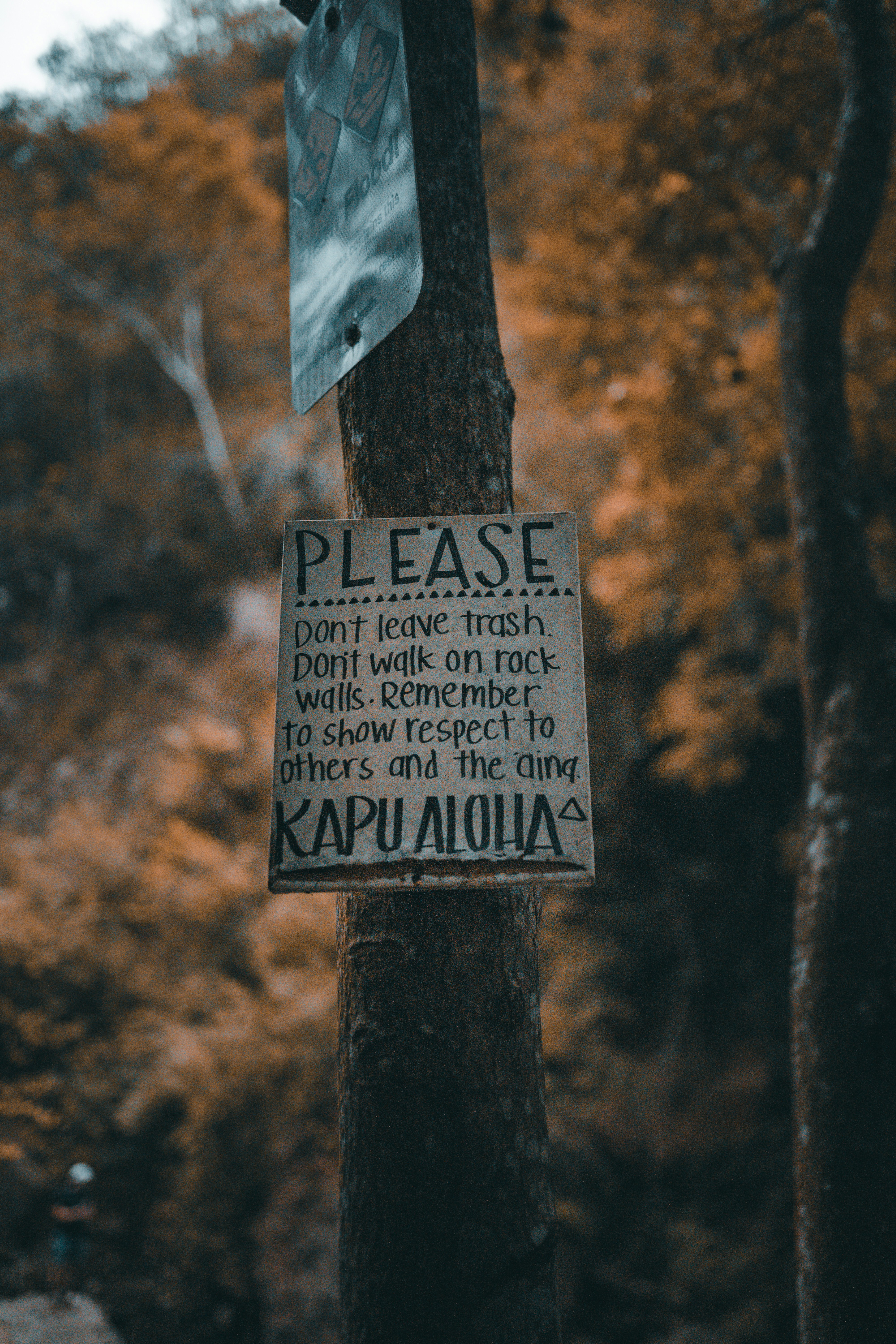 white and black wooden signage