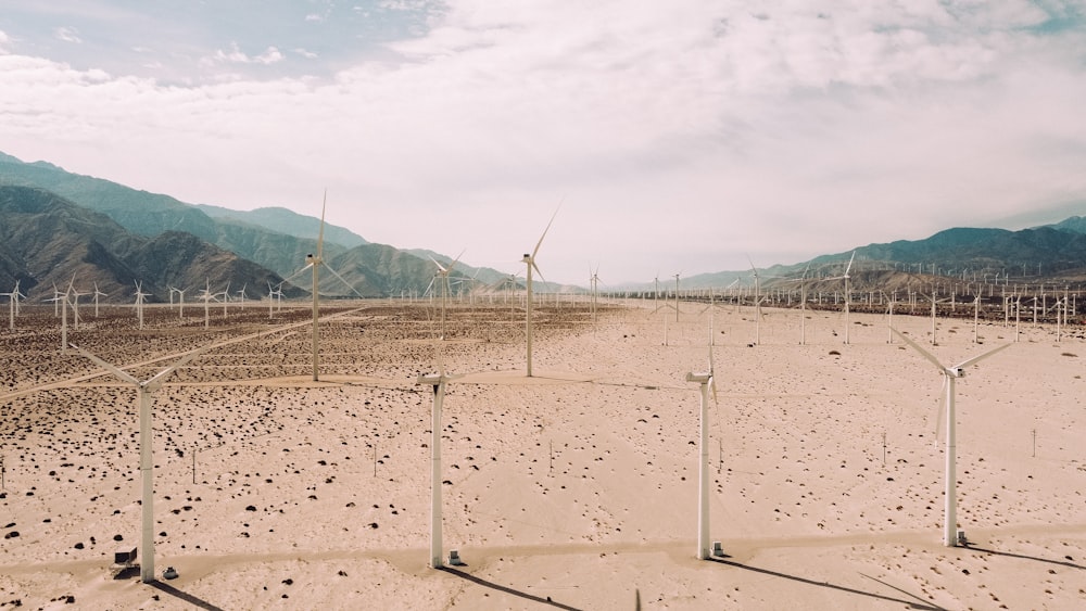 white metal fence on brown sand during daytime