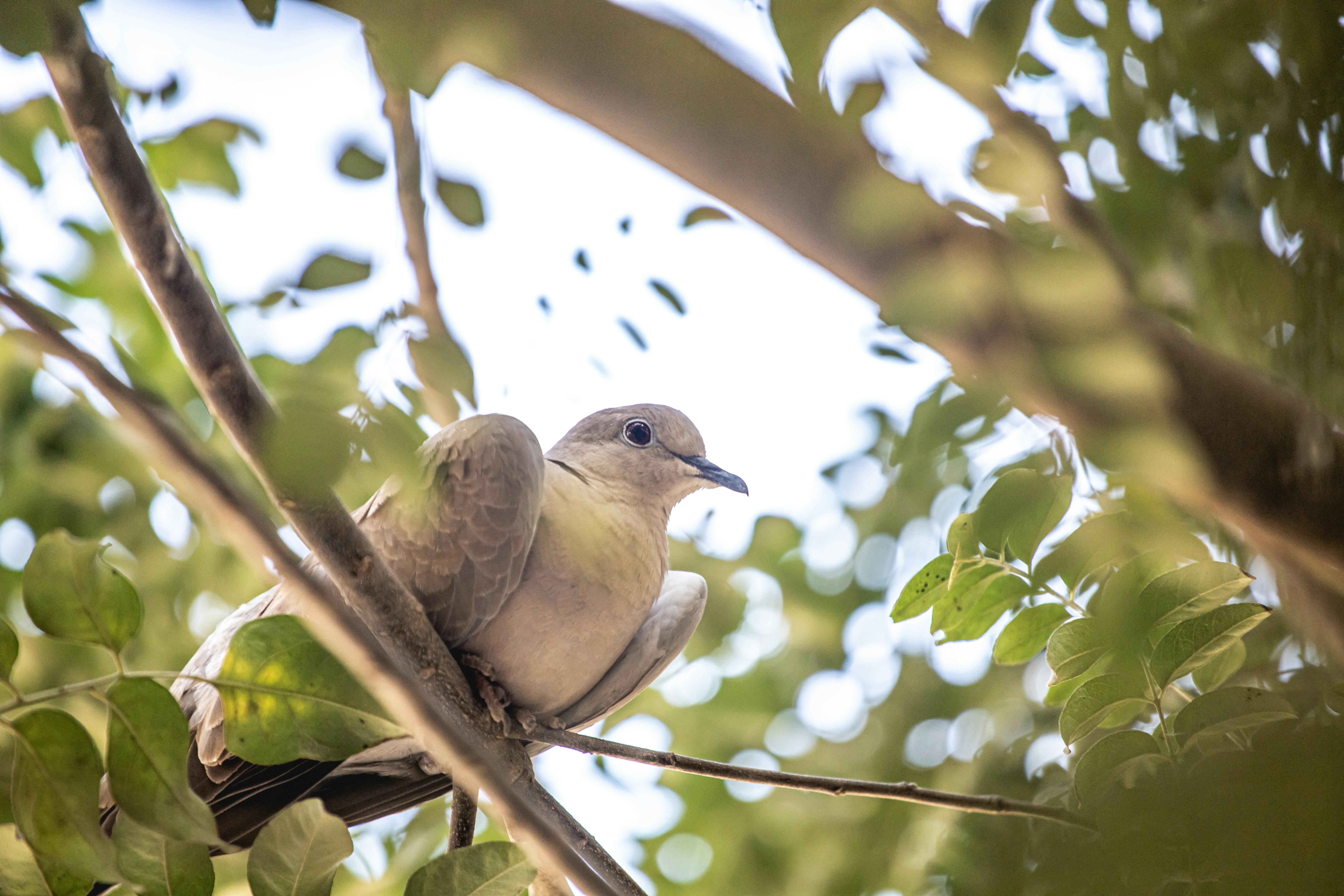 Photo by wildandbeyondbyvivek