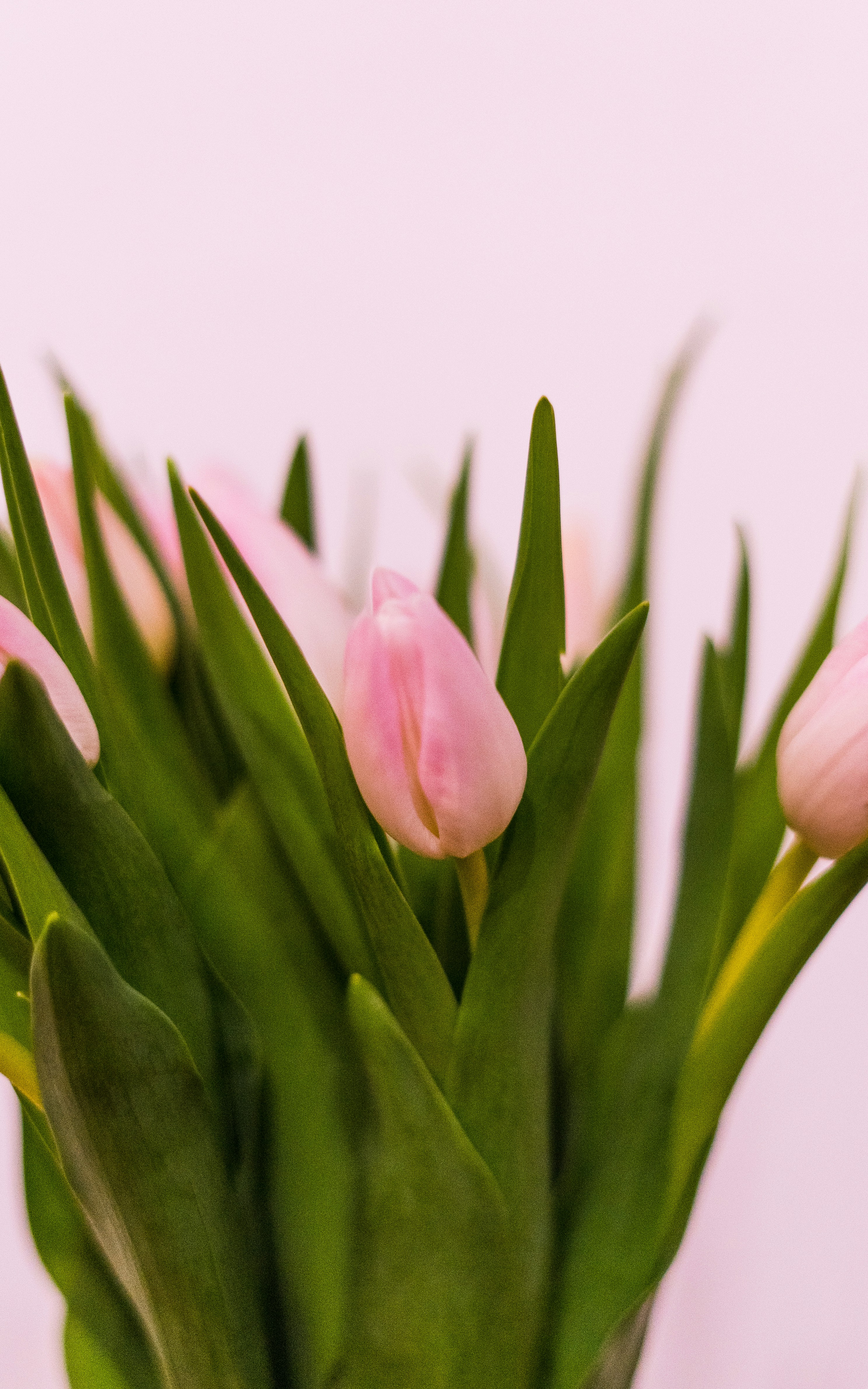 Photo by virussinside