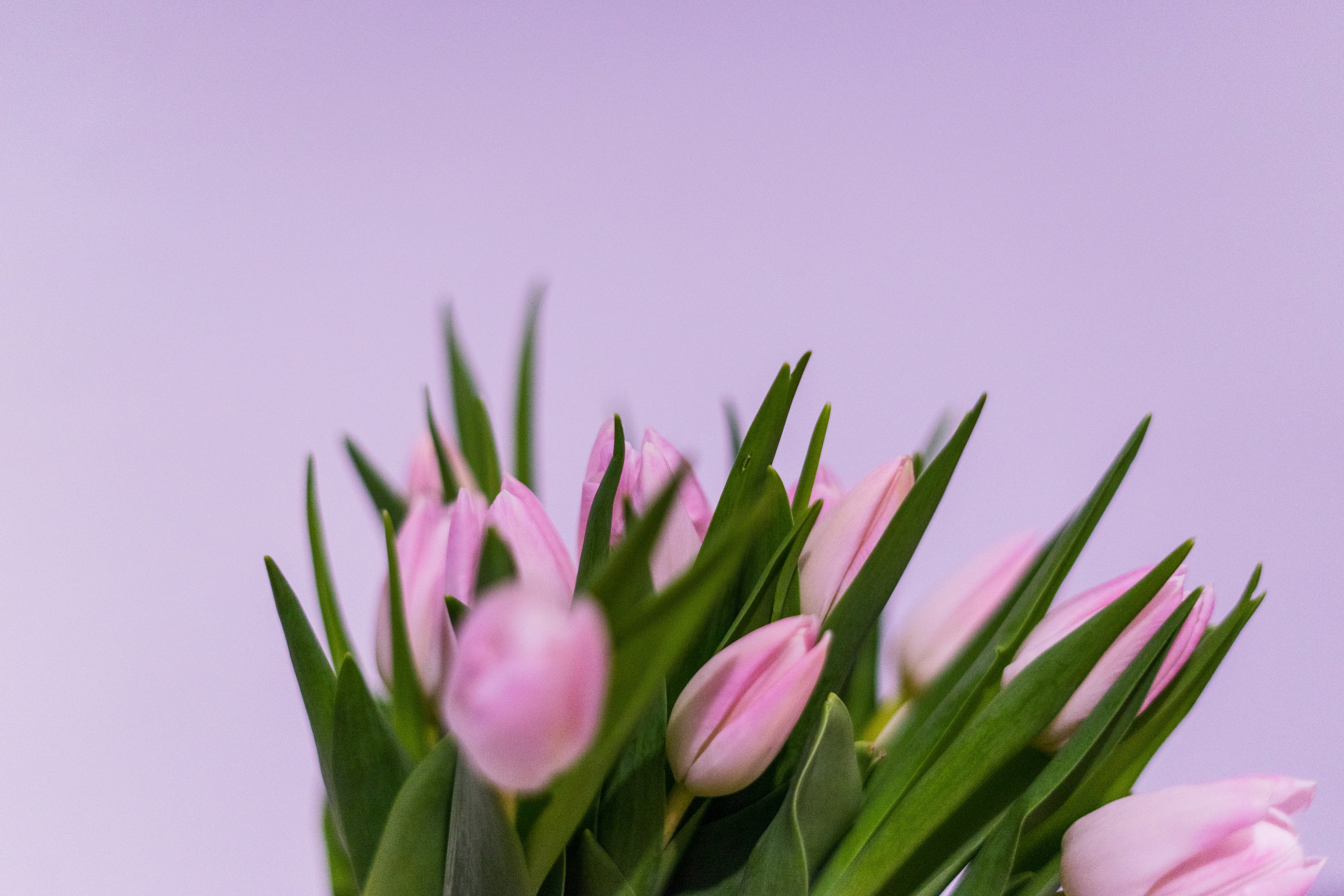 Photo by virussinside