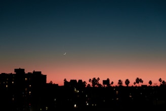 Sunset view over Panama city skyline with music notes floating.