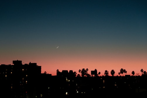 Sunset view over Panama city skyline with music notes floating.