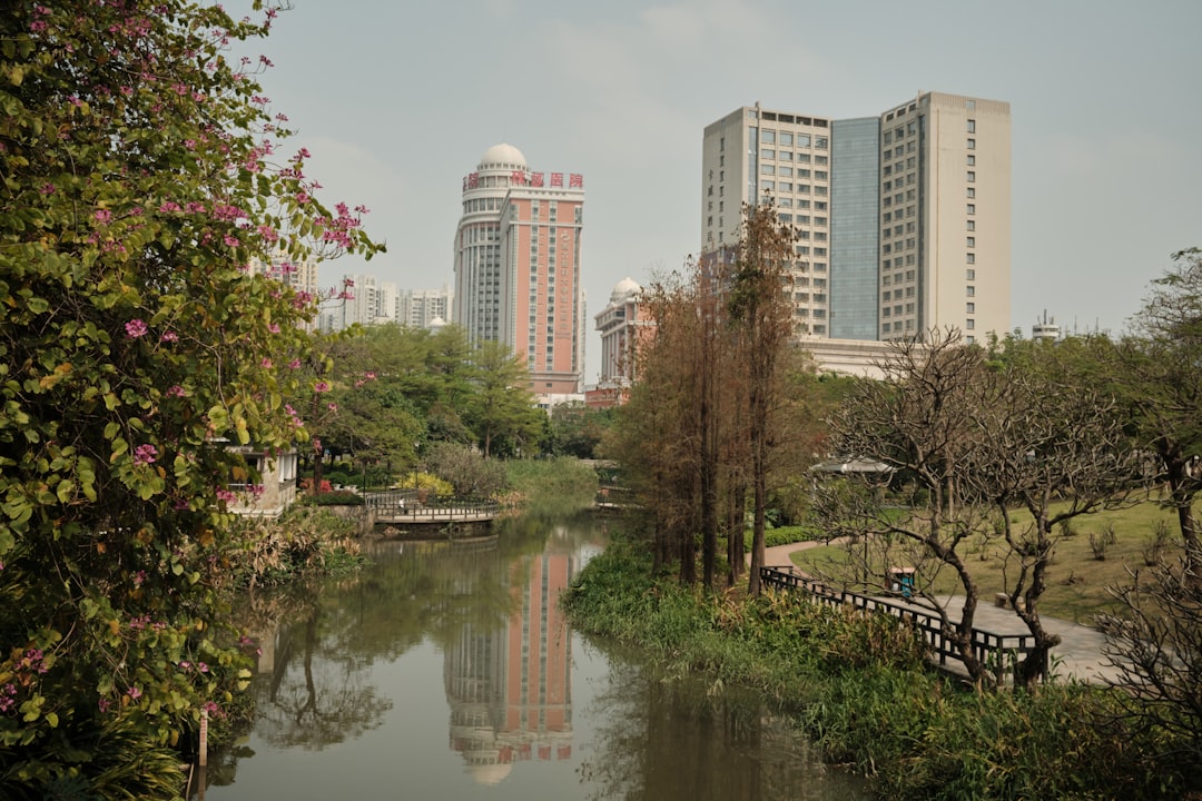 body of water near trees and buildings during daytime